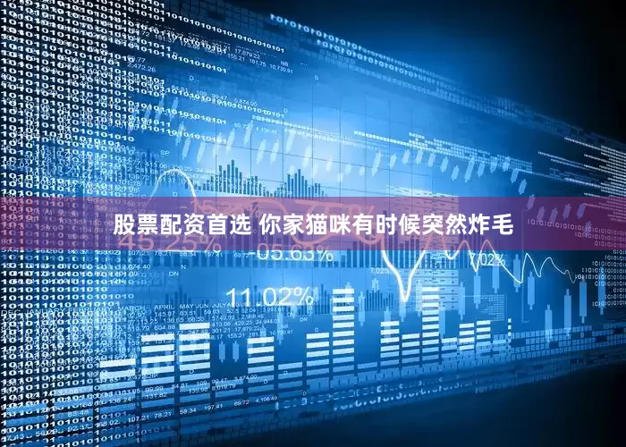 股票配资首选 你家猫咪有时候突然炸毛