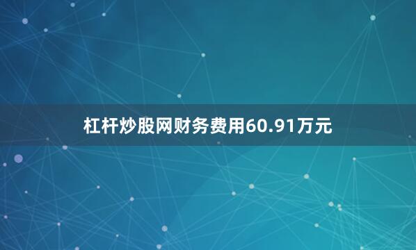 杠杆炒股网财务费用60.91万元