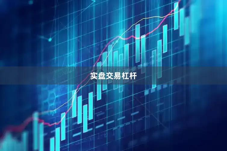 实盘交易杠杆